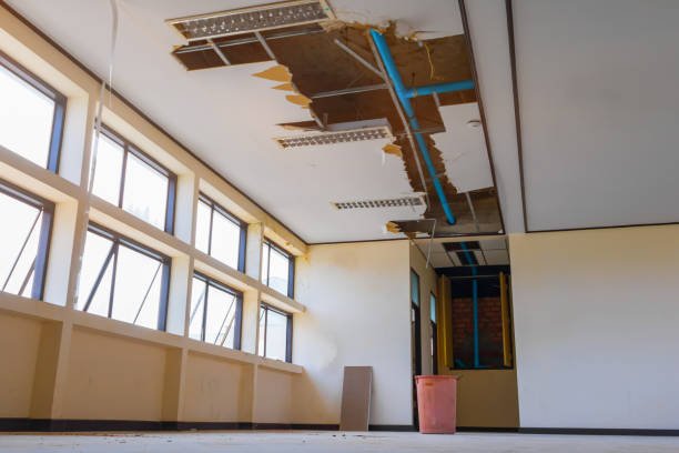 Best Ceiling water damage repair  in Myrtle Grove, FL