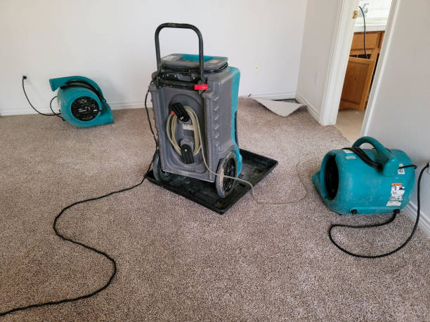 Best Flood restoration services  in Myrtle Grove, FL