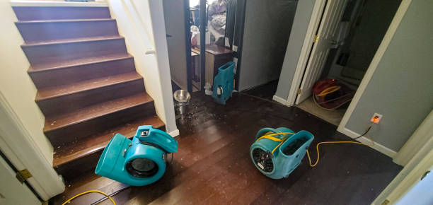 Best Fire Damage Restoration  in Myrtle Grove, FL