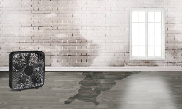 Best Residential water damage restoration  in Myrtle Grove, FL