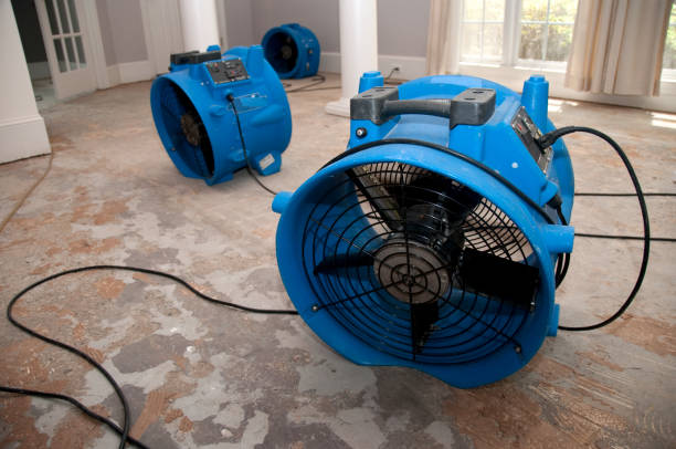 Best Fire Damage Restoration  in Myrtle Grove, FL