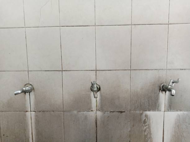 Best 24/7 water damage repair  in Myrtle Grove, FL