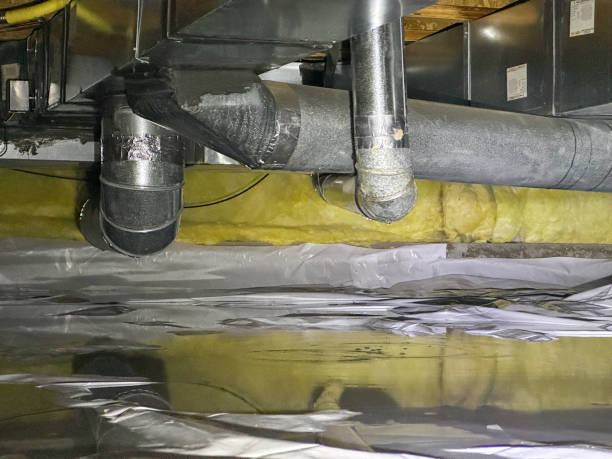 Best Flood damage cleanup  in Myrtle Grove, FL