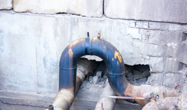 Best Sewage cleanup and water damage restoration  in Myrtle Grove, FL