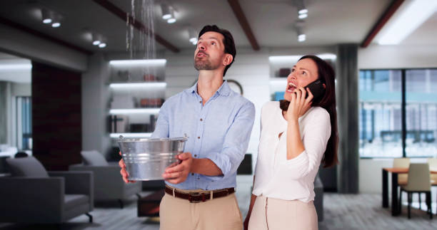 Best Water damage cleanup near me  in Myrtle Grove, FL